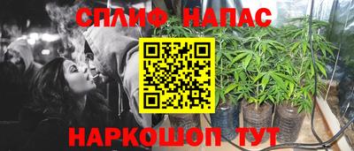 молекула духа Дубна