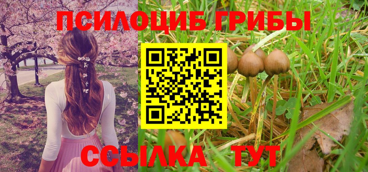 Псилоцибиновые грибы Psilocybine cubensis  купить наркотики сайты  Вход с VPN  Мариинск  Псилоцибиновые грибы GOLDEN TEACHER 